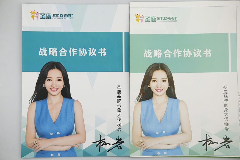 企業(yè)宣傳畫冊